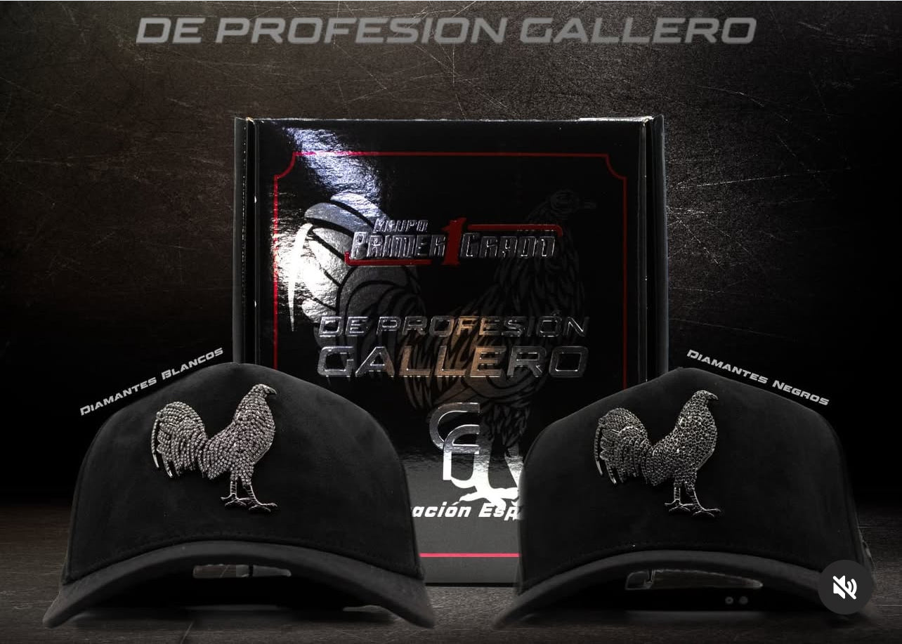 A 1 A Gallo Colaboración Especial con Primer Grado “Piedreria negra